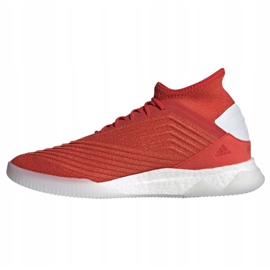 Scarpe da calcio Adidas Predator 19.1 Tr M F35623 rosso rosso 1