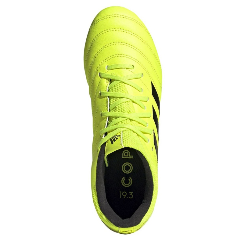 Scarpe da calcio Adidas Copa 19.3 Fg Jr F35466 giallo giallo 2