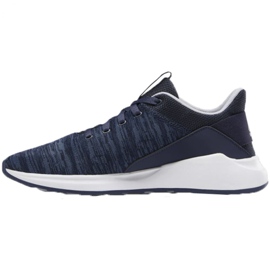 Scarpe Reebok Ever Road Dm XM DV5827 blu navy 1