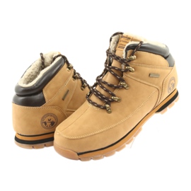 American Club Stivali stringati ES39 cammello marrone multicolore 3