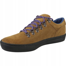 Scarpe Timberland Adv 2.0 Cupsole Alpine Ox M A1SHV marrone 1