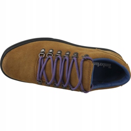 Scarpe Timberland Adv 2.0 Cupsole Alpine Ox M A1SHV marrone 2