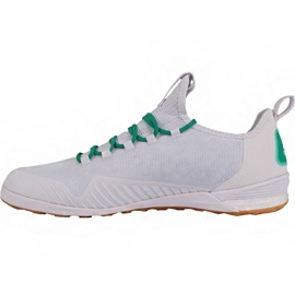 Scarpe da calcio Adidas Ace Tango 17.1 In M BA8538 bianca bianca 1