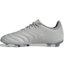 Scarpe da calcio Adidas Copa 20.3 Fg Jr EF8332 grigio grigio 2