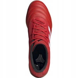 Scarpe indoor adidas Copa 20.3 In Sala M G28548 rosso rosso 1