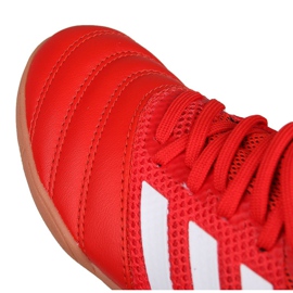 Scarpe indoor adidas Copa 20.3 In Sala Jr EF1915 rosso rosso 2