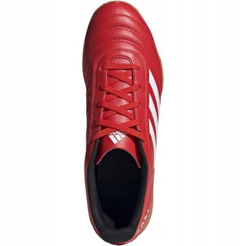 Scarpe indoor adidas Copa 20.4 In M EF1957 rosso rosso 1