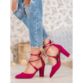 Goodin Pompe legate rosa 1