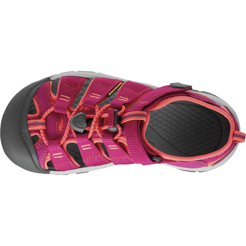 PANTHERA Appassionato Newport H2 Jr 1014251 rosa 2