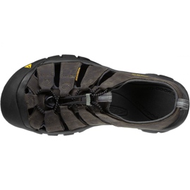 Appassionato Newport M 1010122 grigio 2