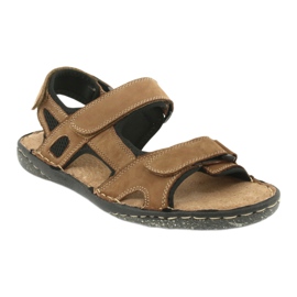 Sandali da uomo con velcro American Club CY15 / 20 marrone 1