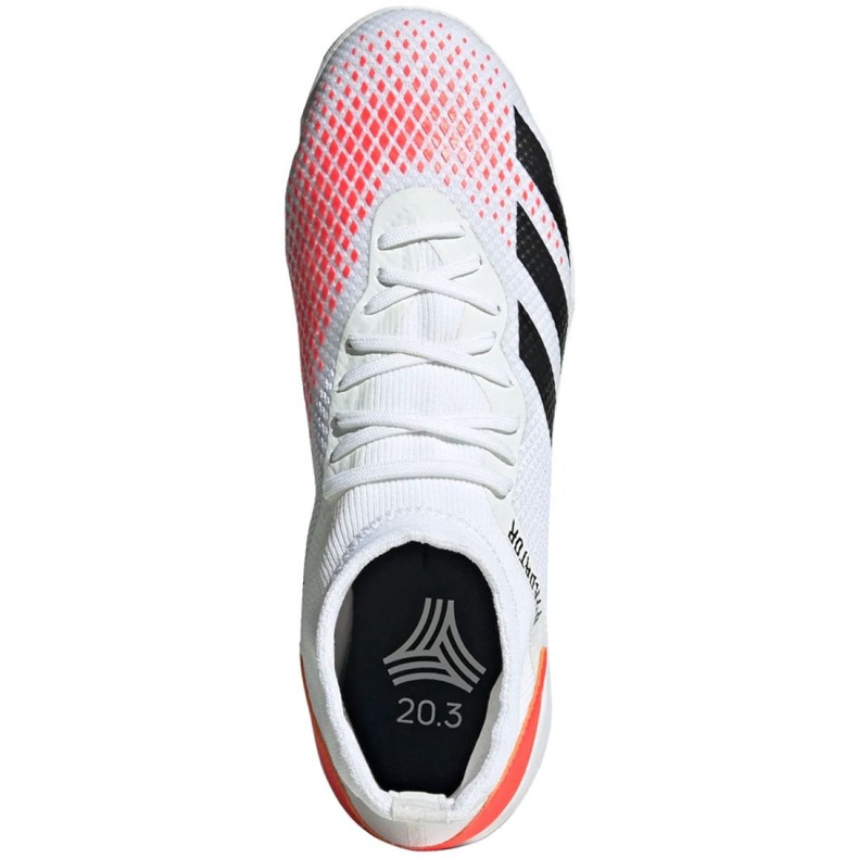 Scarpe indoor adidas Predator 20.3 In M EG0916 rosso bianco 1