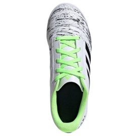 Scarpe indoor adidas Copa 20.4 In Jr EF1927 multicolore bianca 1