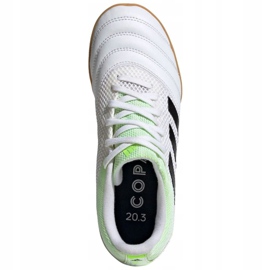 Scarpe indoor adidas Copa 20.3 In Sala Jr EF1916 multicolore bianco 1