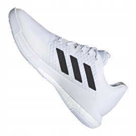 Scarpe da pallavolo Adidas Crazyflight M FW8237 multicolore bianco 1