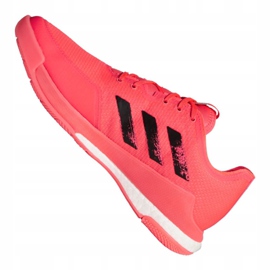 Scarpe da pallavolo Adidas Crazyflight Tokyo M FX1764 multicolore rosa 1