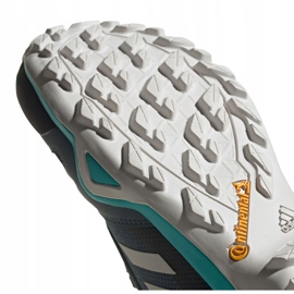 Scarpe Adidas Terrex AX3 Gtx M FV6850 nero arancia rosa grigio 1