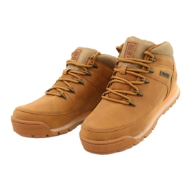 Cammello trekking sportivo Big Star GG274497 d'oro giallo 2