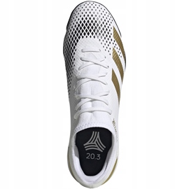 Scarpe da calcio Adidas Predator 20.3 L Tf FW9189 bianco, oro, nero bianca 1