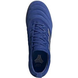 Scarpe da calcio Adidas Copa 20.1 In EH0889 blu blu 1