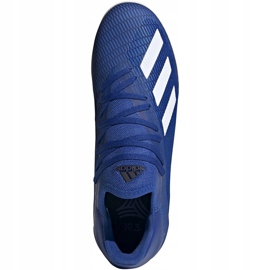 Scarpe da calcio Adidas X 19.3 In EG7154 blu blu 1