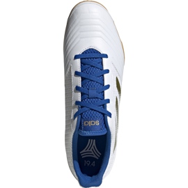 Adidas Predator 19.4 In Sala scarpe da calcio bianche EG2827 grigio bianco 1