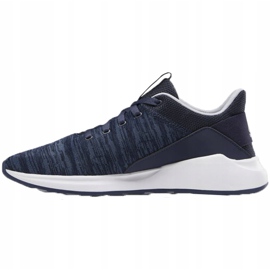 Scarpe da uomo Reebok Ever Road Dm X blu navy DV5827 1