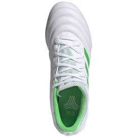 Scarpe da calcio Adidas Copa 19.3 Tf D98064 bianco bianco 1