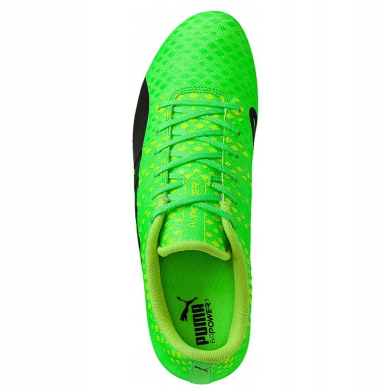 Scarpe da calcio Puma Evo Power Vigor 3 Fg verde 103956 01 2