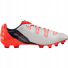 Scarpe da calcio Puma Evo Power 1.2 Ag 103213 05 grigio 1