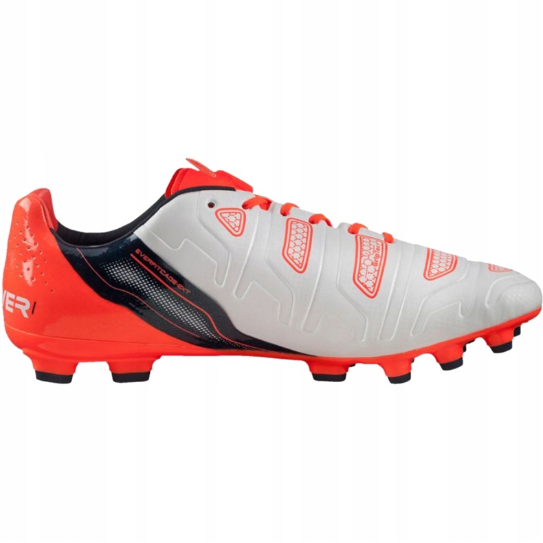 Scarpe da calcio Puma Evo Power 1.2 Ag 103213 05 grigio 1