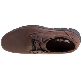 Timberland Bradstreet Plain Toe Oxford M 5423A Scarpe marrone 2