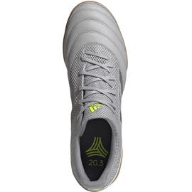 Scarpe da calcio Adidas Copa 20.3 In EF8335 grigio 1