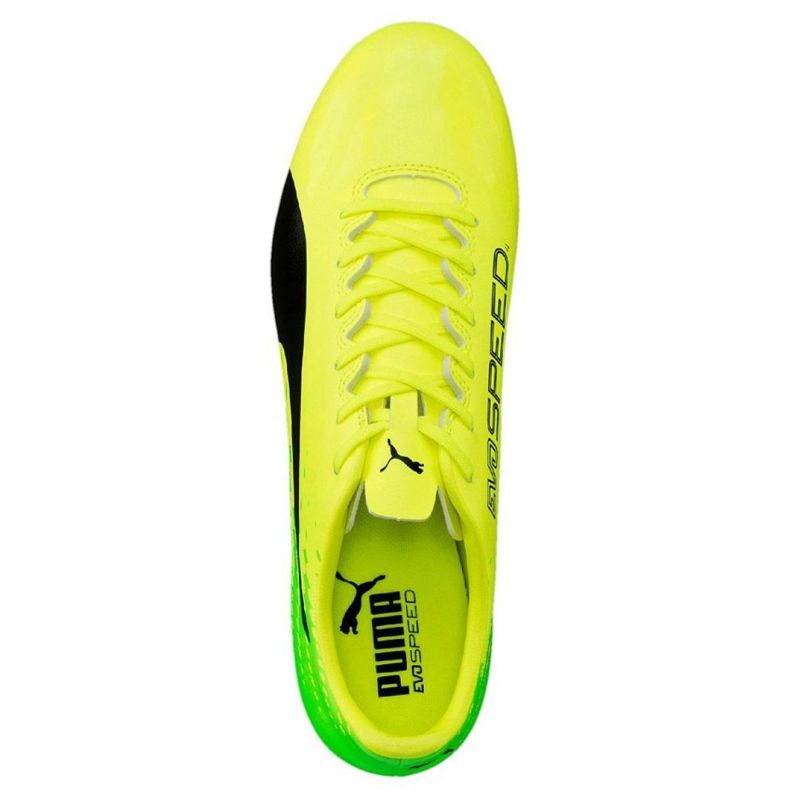 Scarpe da calcio Puma Evo Speed ​​17.4 Fg M 104017 01 verde 1