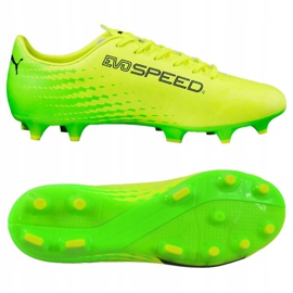Scarpe da calcio Puma Evo Speed ​​17.4 Fg M 104017 01 verde 2