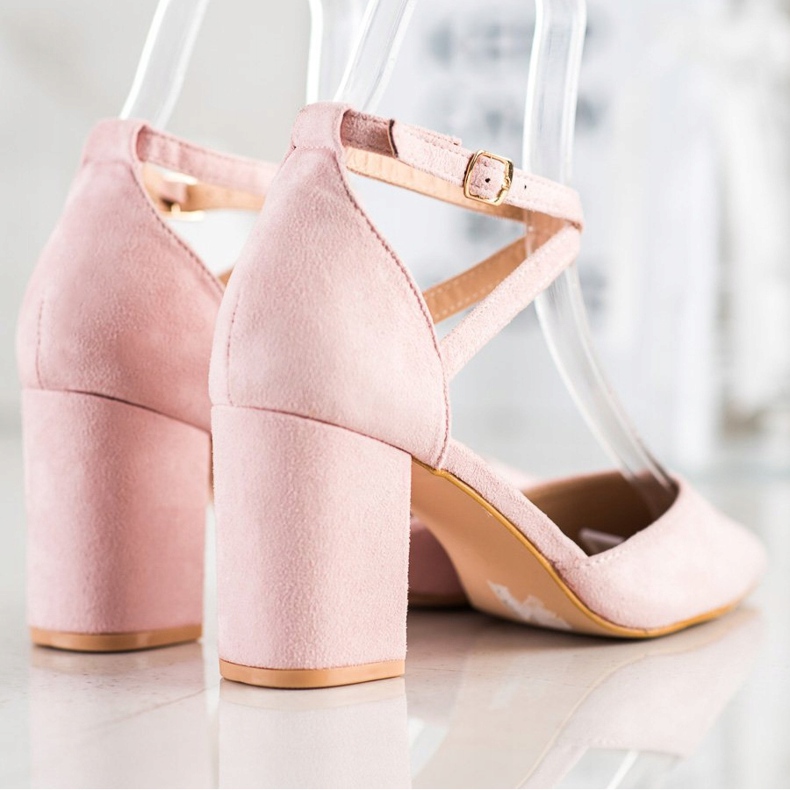 Sabatina Pompe per polvere rosa 1