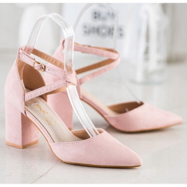 Sabatina Pompe per polvere rosa 2