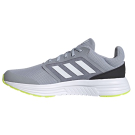 Scarpe uomo Adidas Galaxy 5 grigie FY6720 grigio 1