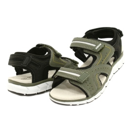 American Club Sports Sports Boys Inserisci ES33/21 Kaki verde 2