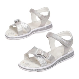 Vices Morse 5SD734-441-grigio / argento 1