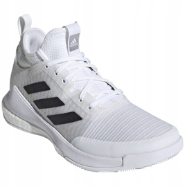 Scarpe da pallavolo Adidas CrazyFlight Mid W FX1792 multicolore marrone 1