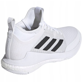 Scarpe da pallavolo Adidas CrazyFlight Mid W FX1792 multicolore marrone 2