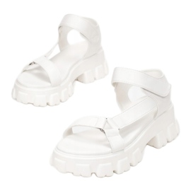 Vices Morse 3942-71-bianco 1