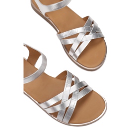 Vices Vizi 123-8-52-argento 1