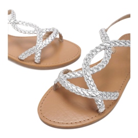 Vices Morse 8839-105-52-argento d'argento 1