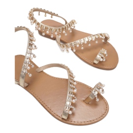 Vices Morse 8839-F18-60-oro d'oro 1