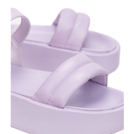 Vices Vizi 2257-66-viola 1