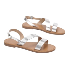 Vices Morse 8839-F8-52-argento d'argento 1