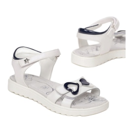 Vices Morse B-3156-101-bianco / blu bianca 1