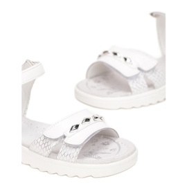 Vices Morse T51-73-71-bianco bianca 1